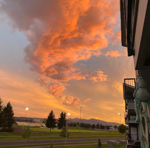 Meet your Posher, Nathan